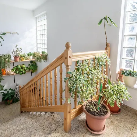 Charming With Balcony - One Bedroom